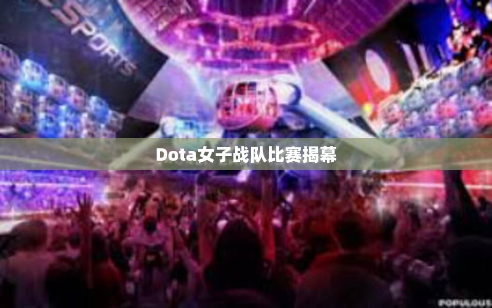 Dota女子战队比赛揭幕