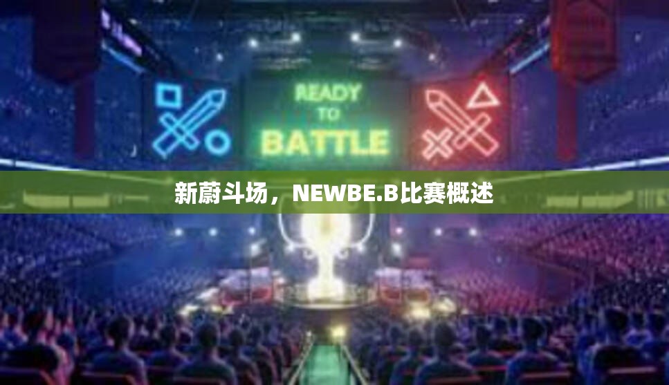 新蔚斗场，NEWBE.B比赛概述