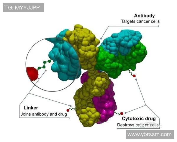 ss战队adc比赛-探究SS战队ADC比赛的精髓，制胜策略与技术突破-ss战队adc比赛